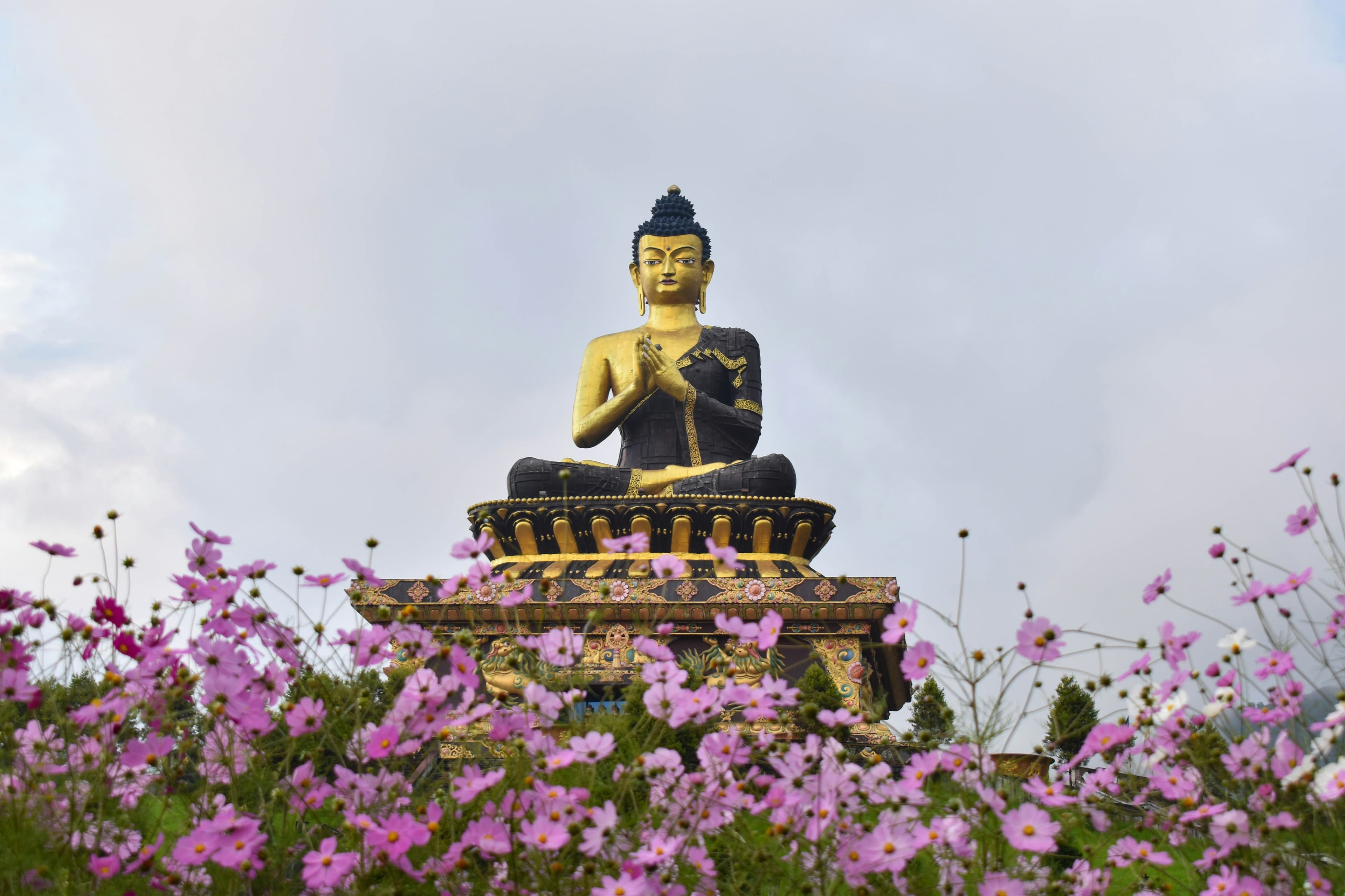 RAVANGLA